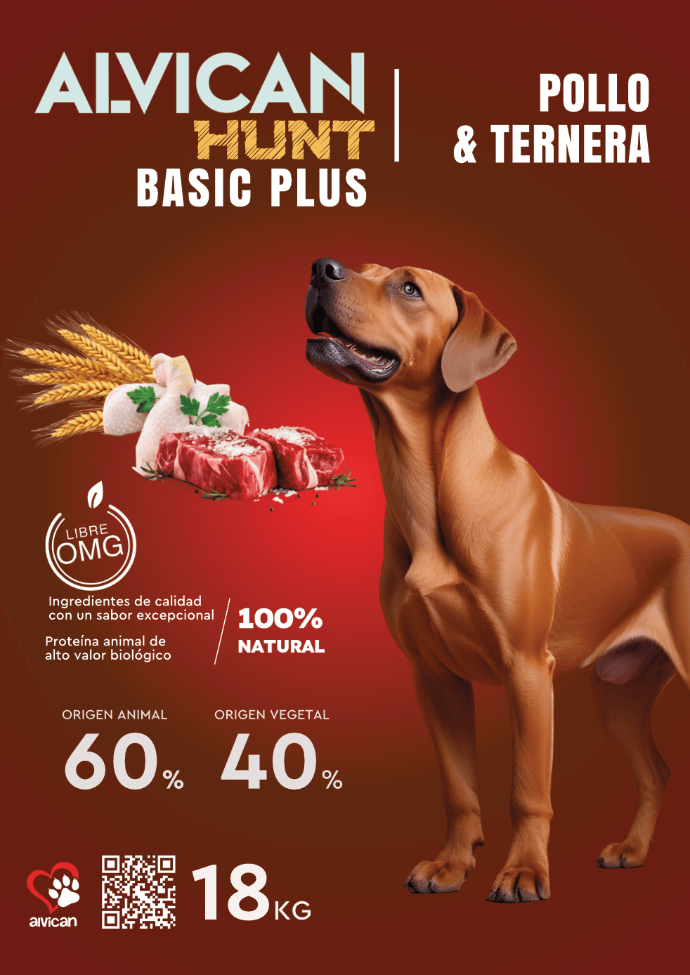 ALVICAN A4 25 05 24 P10