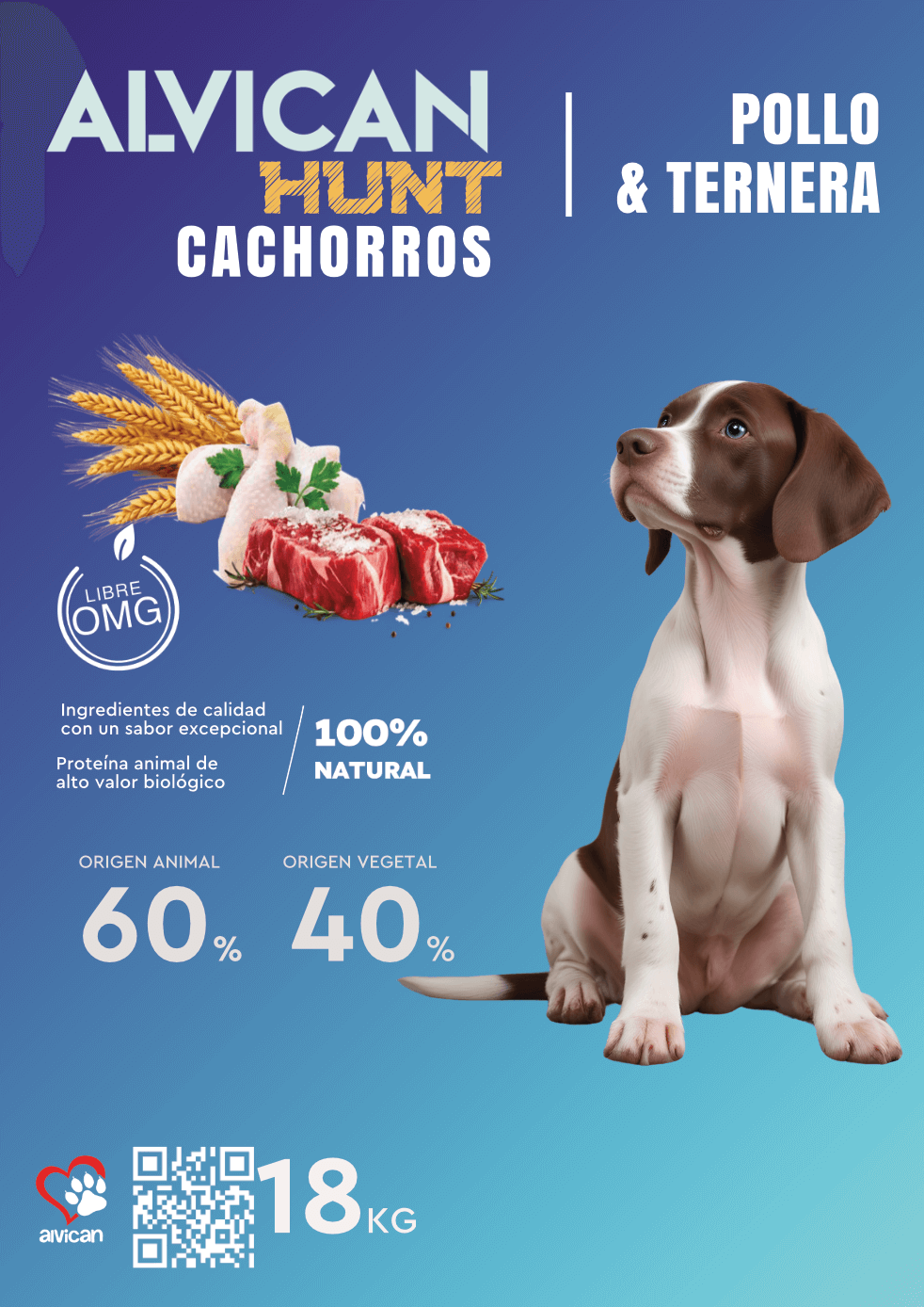 ALVICAN A4 25 05 24 P11